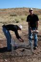 102808-prairiedogs-workers-vertical.jpg