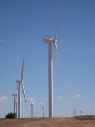 101209-windfarm-vertical1.jpg