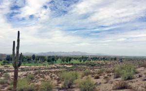 Estrella Mountain Regional Park, one of eight Maricopa County open space parks scrutinized in an economic impact study, features 40 miles of hiking trails. 