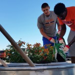 Suns center Alex Len, left, helped plant flowers outside of Arizona Veterans Memorial Coliseum as the arena prepares to host a Suns’ scrimmage on Oct. 3. (Cronkite News photo by Chris Caraveo)