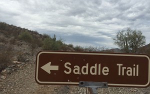 Estrella Mountain Regional Park contains more than 40 miles of trails for hiking, biking and horseback riding. 