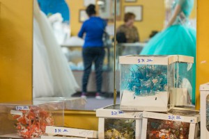 Bridals by Ofelia, localted on McDowel Road in Phoenix, sells dresses, flowers, shoes and more. (Photo by Brooke Stobbe/Cronkite News)