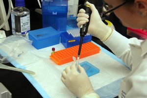 Some blood and virus samples are divided into smaller parts so that lab technicians at the state health department can test them for various elements. Here, this lab technician is testing a medication resistant virus.  (Photo by Claire Cleveland/Cronkite News)