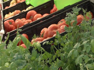 Basil, parsley, and other herbs available for purchase.