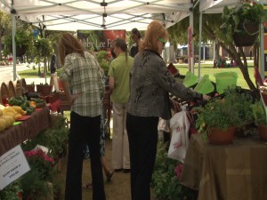 People look at the fresh produce available from the Abby Lee farmer’s market stand.