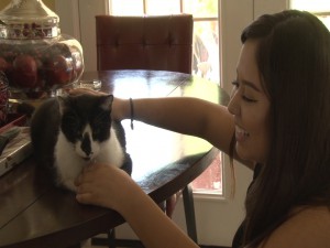 Victoria Tenorio said she is ‘grateful’ for the microchip technology that reunited her with her cat Toto more than a year after his disappearance. (Photo by Elena Mendoza/Cronkite News)