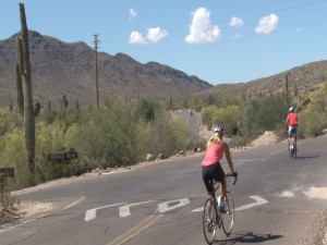 Park Ranger Dan Gronseth said one of the main features of South Mountain Park and Preserve is its many roads that make it accessible to visitors. (Photo by Elena Mendoza/Cronkite News)