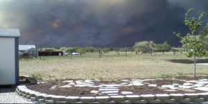 Photo from the Schultz fire a few years ago in Flagstaff, June, 2016, Flagstaff, AZ(Tina Adams)