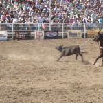 In team roping, two cowboys rope one steer. (Photo by Jessica Watts/Cronkite News)