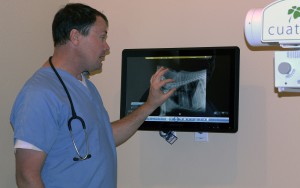 Veterinarian Dr. Brett Cordes goes over some X-rays of a dog with Valley fever. (Photo by Grecia Drabos/Cronkite News)