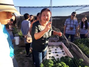 Jing Lv leads guests on a free and educational tour of her garden after a Chinese food party at her home. (Photo by Jiahui Jia/Cronkite News)