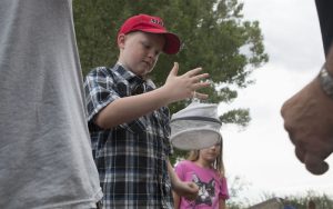 After being captured, hummingbirds are placed in a clear netted container where onlookers can take them to be measured. Drayden Price, among the children watching, stepped up to help deliver a bird. (Photo by Kristiana Faddoul/Cronkite News)