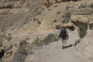 Matt Rudig, a Coconino County official, begins his 8-mile trek to the Havasupai Tribe’s village at the bottom of the Grand Canyon. He set up a polling station for the tribe for the 2016 Arizona primaries. (Photo by Bri Cossavella/Cronkite News)